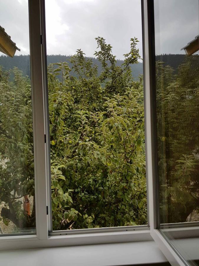 Guesthouse Guram Baba Mestia Exteriör bild